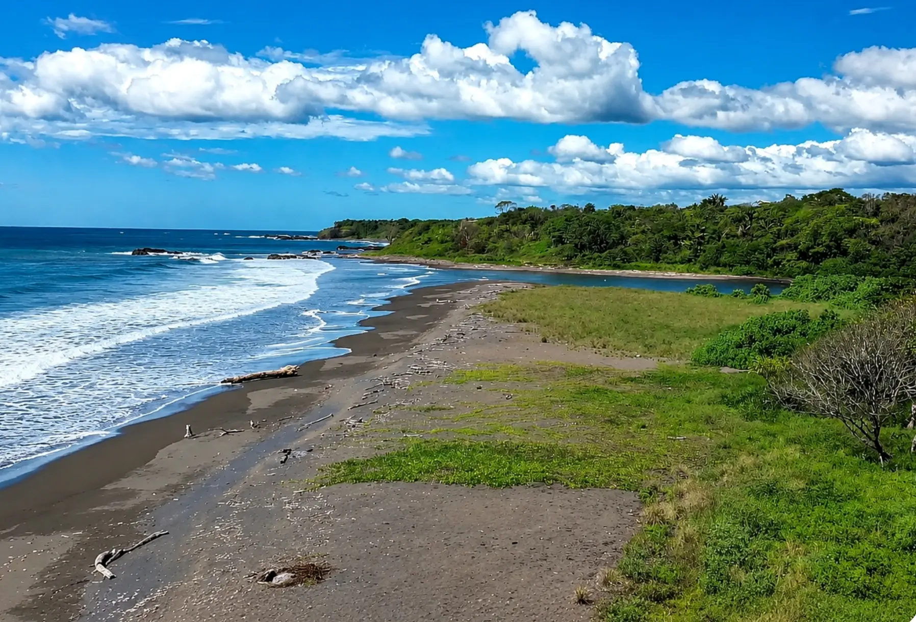 Pacific shoreline and forested headland along the Costa Brava oceanfront