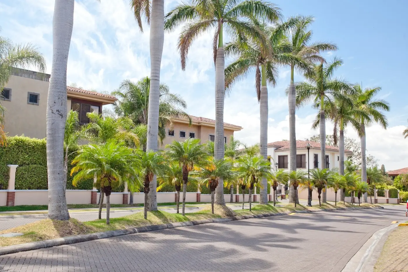 Palm-lined street inside the Hacienda del Sol guard-gated community in Santa Ana